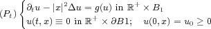    { @tu -|x|2Du = g(u) in R+ B1
(Pt)  u(t,x) =_  0 in R+  @B1; u(0,x)= u > 0
                                  0  