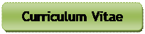 Rectngulo redondeado: Curriculum Vitae